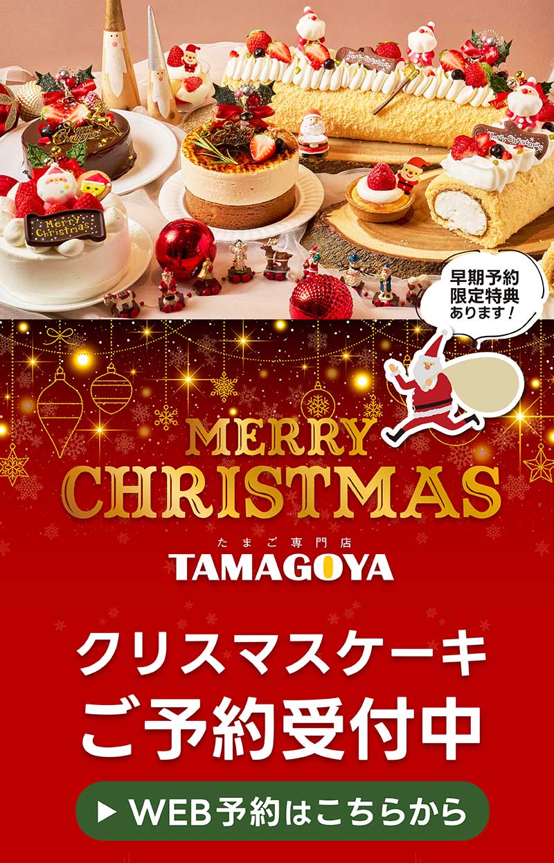 クリスマスケーキ